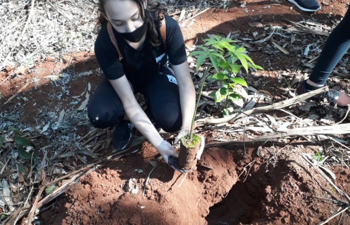 Plantio de mudas na nascente do rio Suruvi