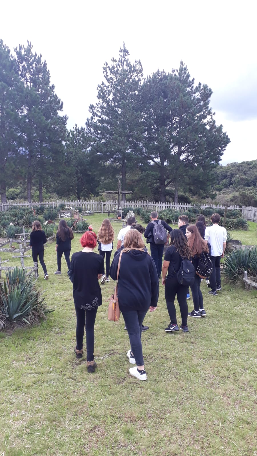 3a918720-5f7a-452e-92ad-ea1452fdd7e8