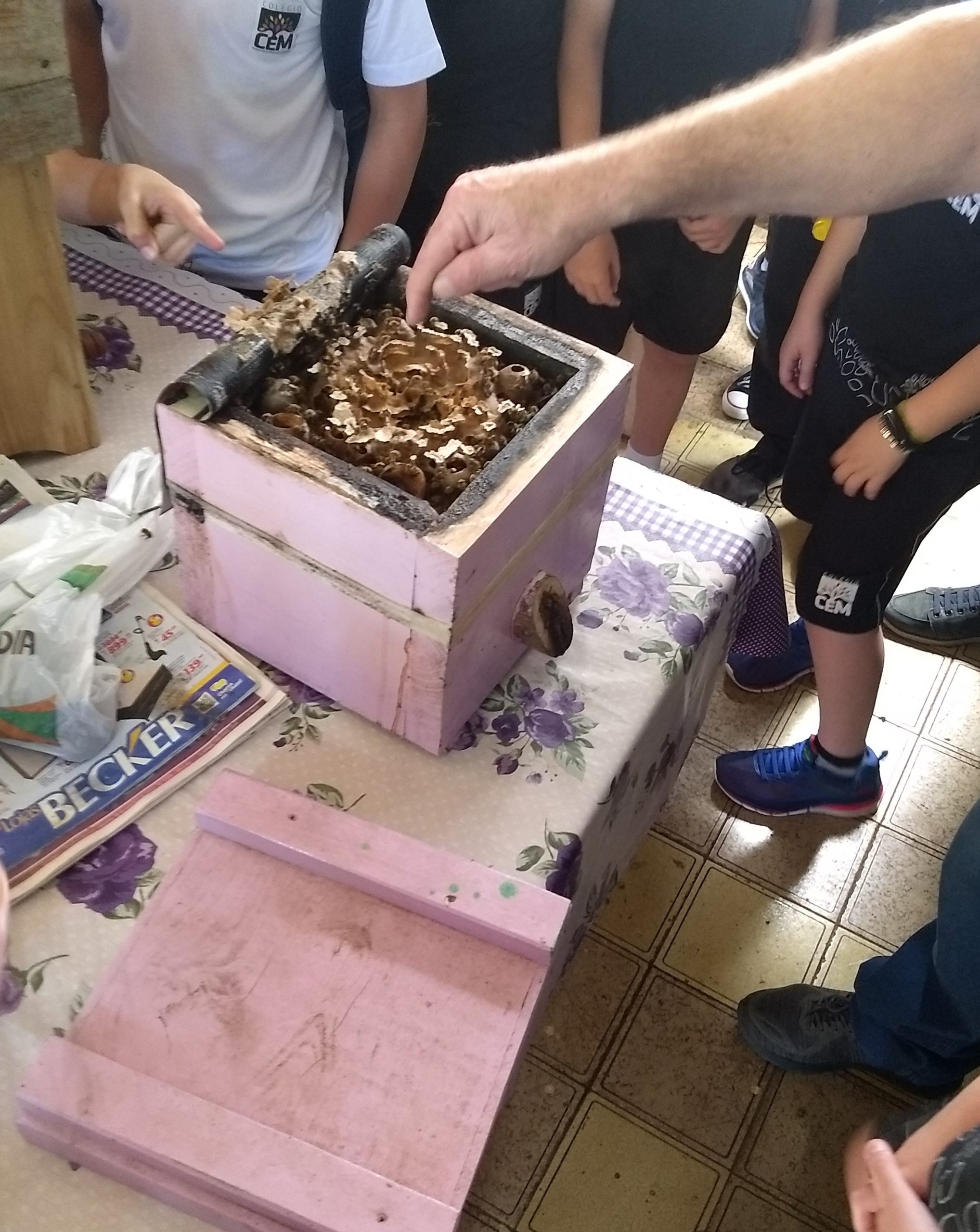 IMG_20211020_143740187_BURST000_COVER_TOP_2